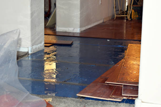 Professional Sewage Cleanup technician working in Cement City, MI